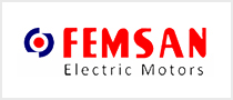 Femsan
